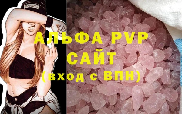 PSILOCYBIN Вяземский