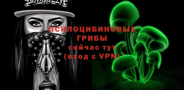 PSILOCYBIN Вяземский
