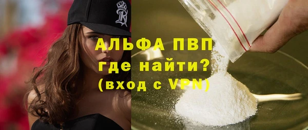 PSILOCYBIN Вяземский