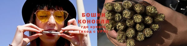 PSILOCYBIN Вяземский