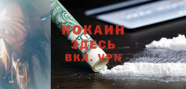 PSILOCYBIN Вяземский