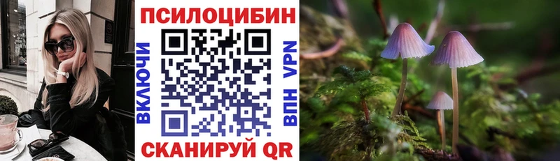 Псилоцибиновые грибы Psilocybine cubensis  Ивантеевка 