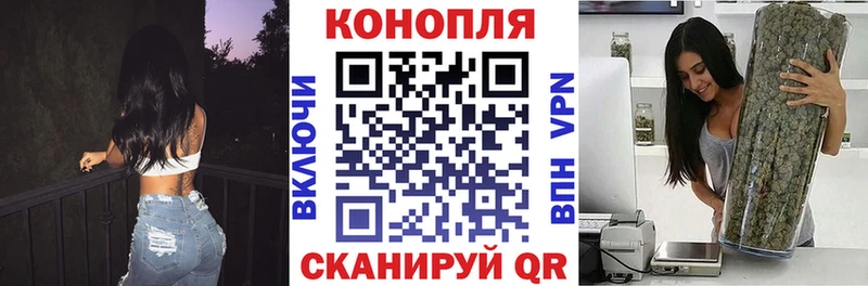 что такое   Ивантеевка  Бошки марихуана SATIVA & INDICA 